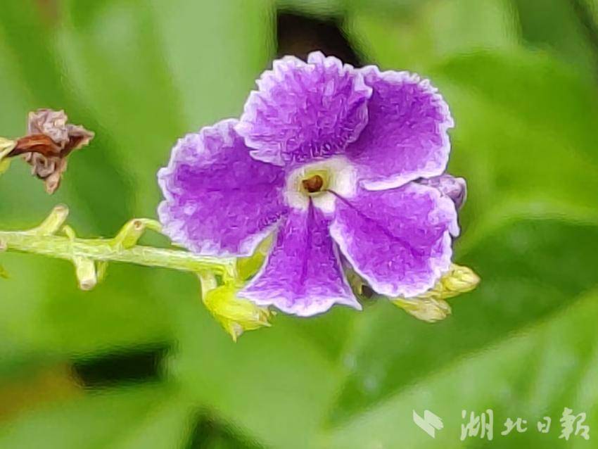 奔驰37370快速充值